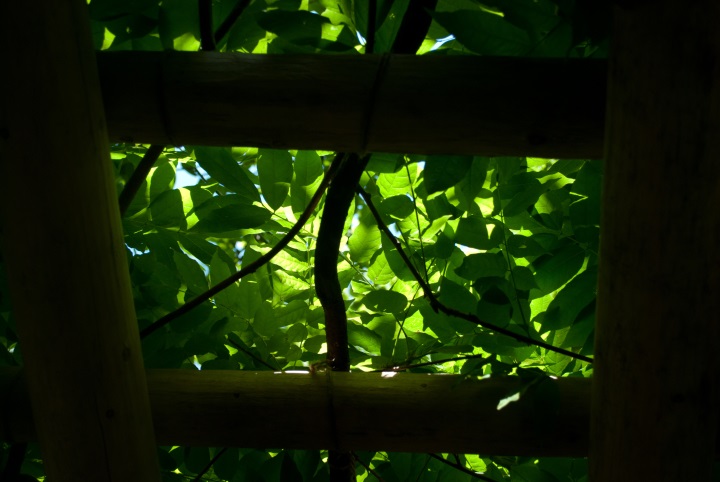 The State of the&nbsp;State