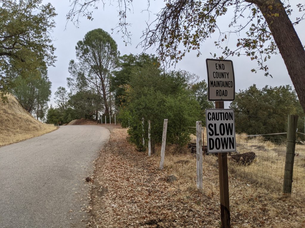 Another Pandemic Year