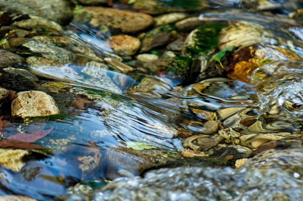 Elegy for a Heart Worn Smooth by the&nbsp;River